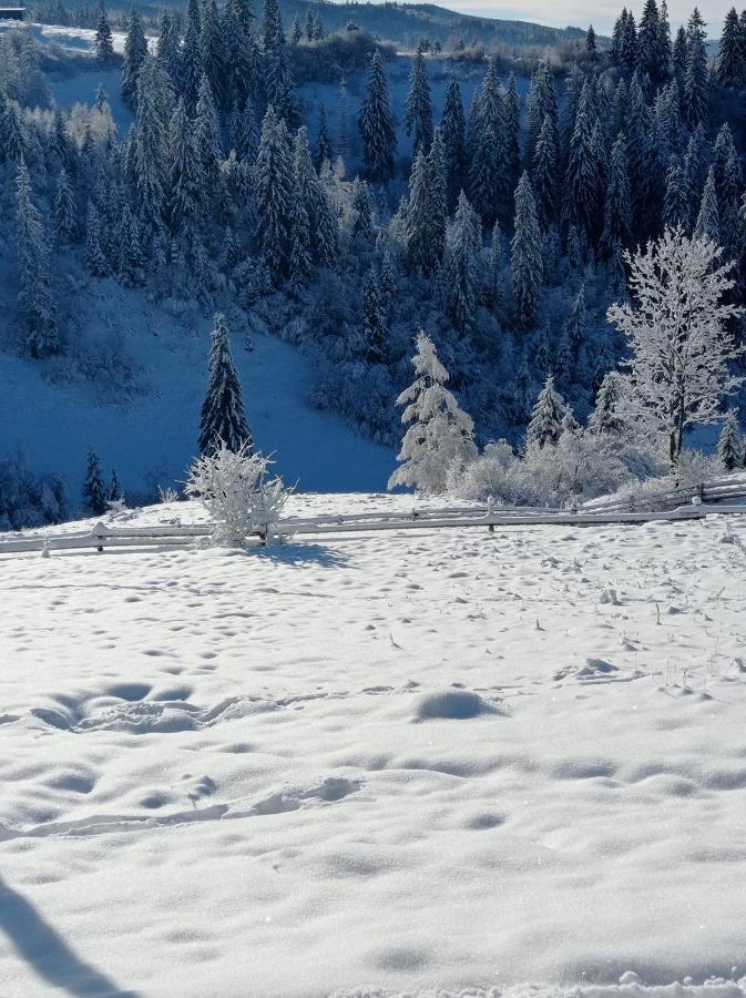 Ecottage Котедж Для Двох У Горах Із Чаном-Джакузі Slavske Exterior foto