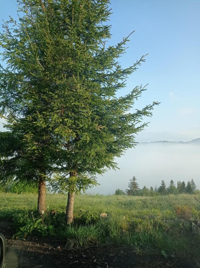 Ecottage Котедж Для Двох У Горах Із Чаном-Джакузі Slavske Exterior foto
